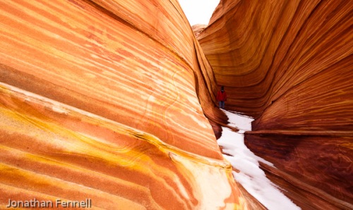 North Coyote Buttes Photograph